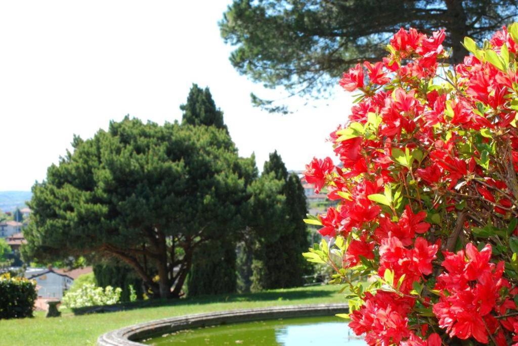 Villa Rossini Tavernerio Exterior photo